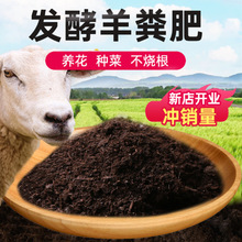 ��S�l���ЙC�ʻ����߲˹Ϲ����u�S�N���B��ͨ�ø�����S����