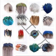 С��ë֧�ֹ��Ʒ���Ұ�uë��ë��؈����䁉��W��ȸ�{Ƭ