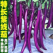 ���L�Ͼ��ѷN���ͺ�����һ̖�ϼt�Ѹ߮a����N���̨�����߲˷N��