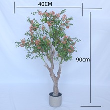 ӭkҿ͏d辰tt𻨻ܷ滨ҾӔ[