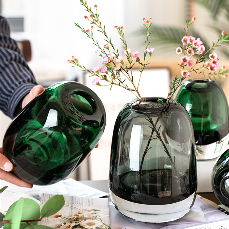 Internet Celebrity High-end Vase Ornaments Living Room Flower Arranging Transparent Glass ins Style Light Luxury European and American Hydroponic Flower Vase