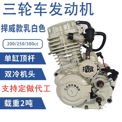 Motorcycle Engine [Jiangsu Specific High Standard Machine] Hangwei 250 Water-cooled Tricycle Engine (Motorcycle engine and accessories)