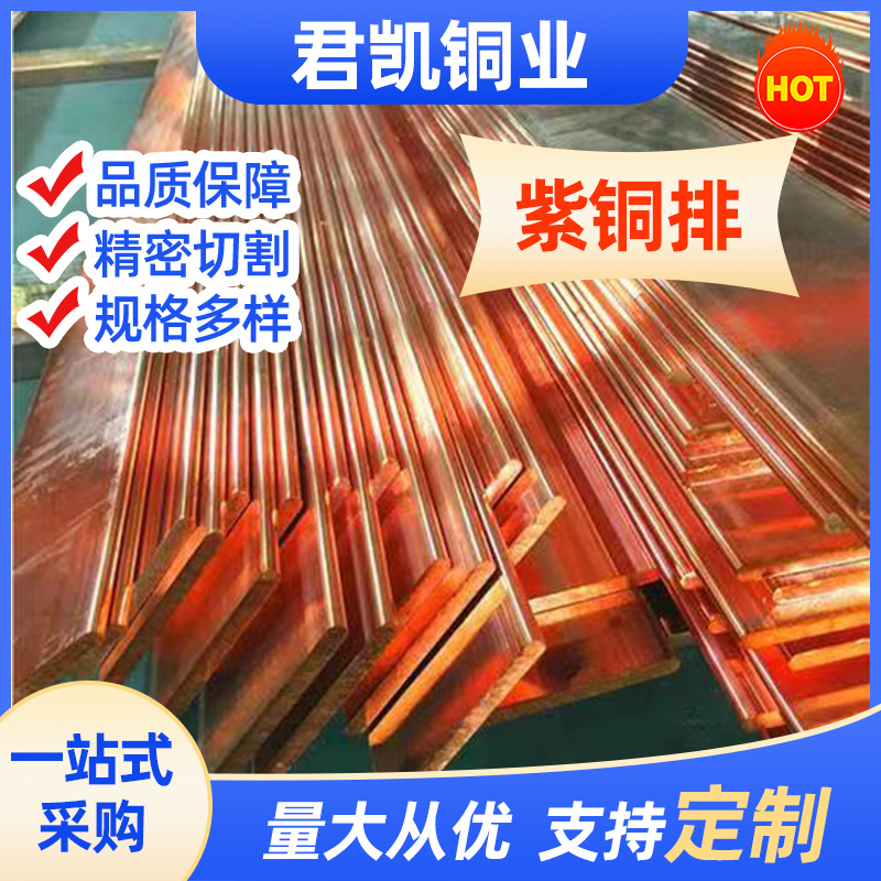 厂家t2紫铜排镀锡母排零地排t1紫铜排卷排铜排t3紫铜排接地铜排