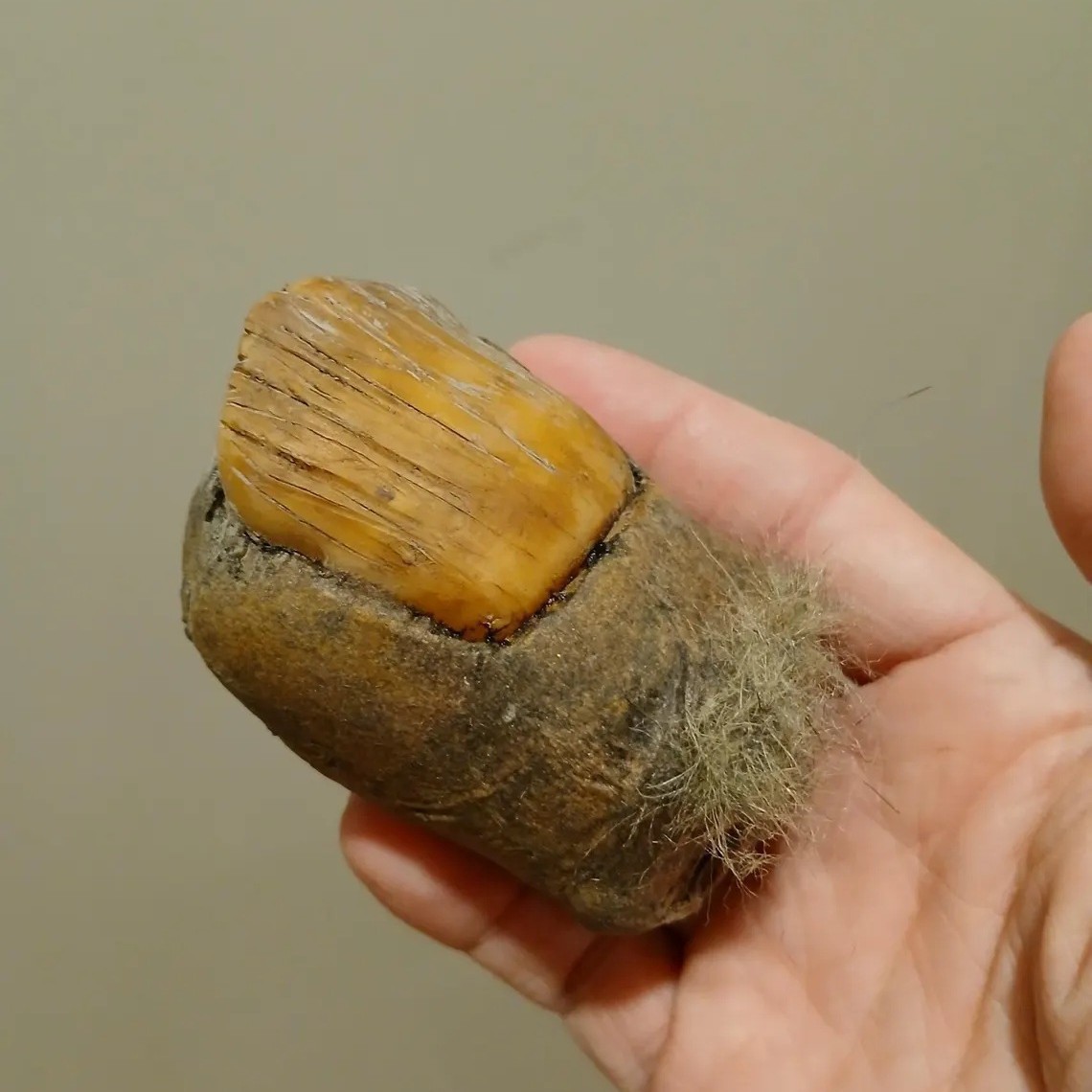 2025 Bigfoot explosivo transfronterizo de Amazon Toe Sasquatch fabricante de proceso de resina de dedo del pie al por mayor