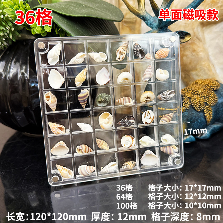 Highly Transparent Acrylic Single and Double-Sided Magnetic Compartment Box, Shell Photo Frame, Natural Mini Jewelry Collection Storage Box