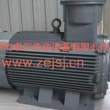 YZR YZ  YZRE YZE YZP YZPE YBZR ұ������늙C ���ஐ��늄әC