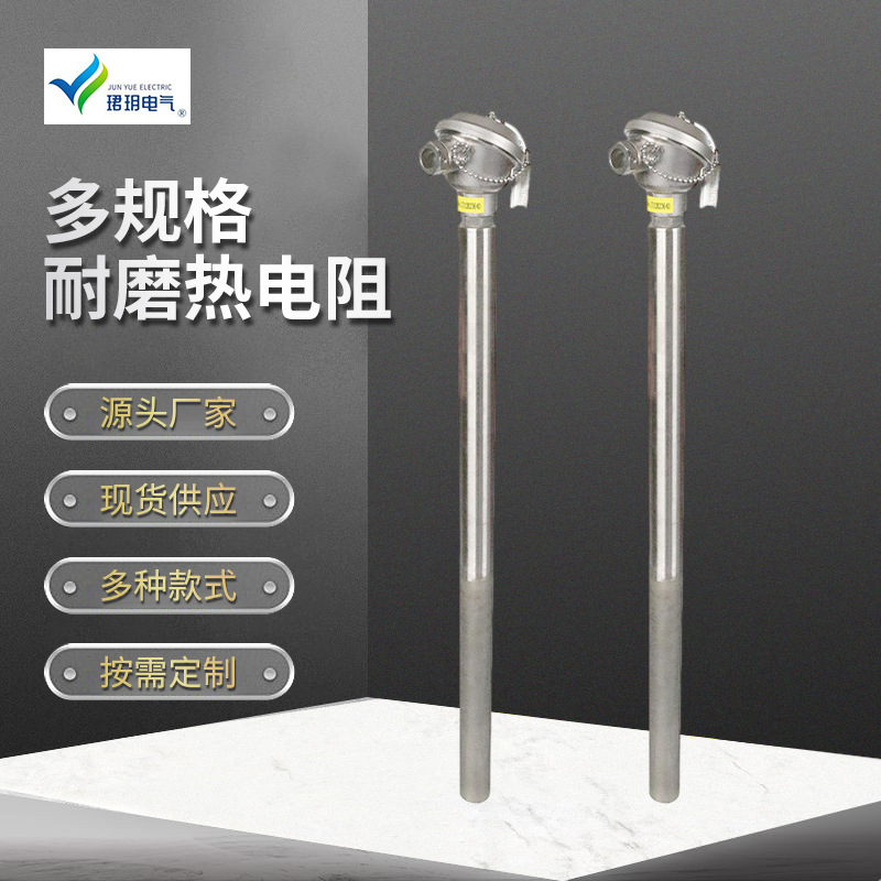耐磨热电阻仪器仪表温湿度高温传感器电热阻厂家供应测温