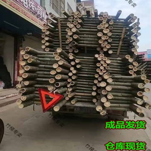 WBZ7 kindergarten climbing ladder ladder bamboo ladder straight ladder 2 meters 3 meters 4 meters household engineering power decoration ladder people