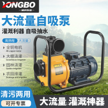 自吸泵高扬程抽水泵220v农用水泵农业灌溉泵380v高效灌溉自吸式