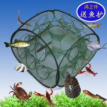 。甲鱼神器虾笼龙虾网自动折叠抓鱼捕虾笼捕鱼笼渔网鱼网渔
