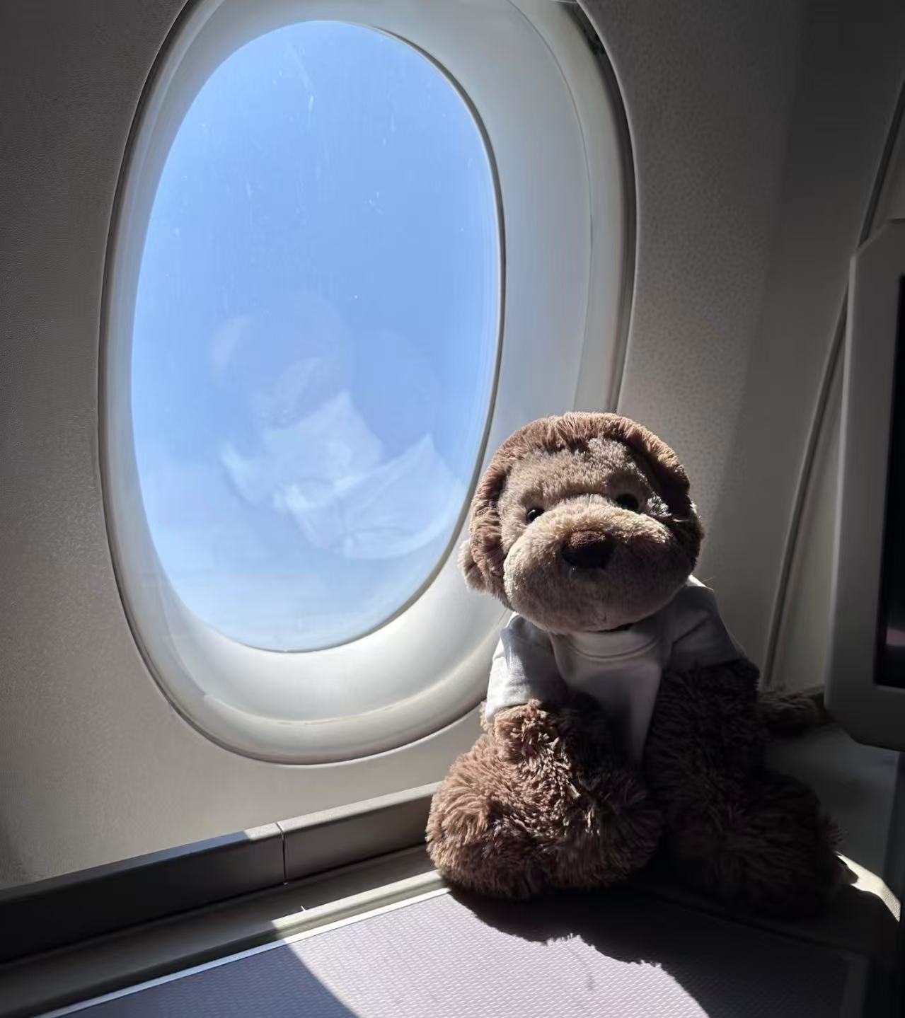 コレクション1;