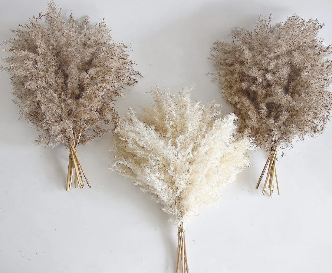 원래 색상 리드 우드 20