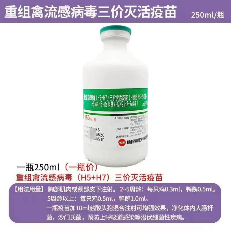 Вакцина против птичьего гриппа Харбин Фармацевтическая, инактивированная вакцина против птичьего гриппа для кур, уток и гусей, тривалентная вакцина против птичьего гриппа H5+H7, 250 мл, для бройлеров