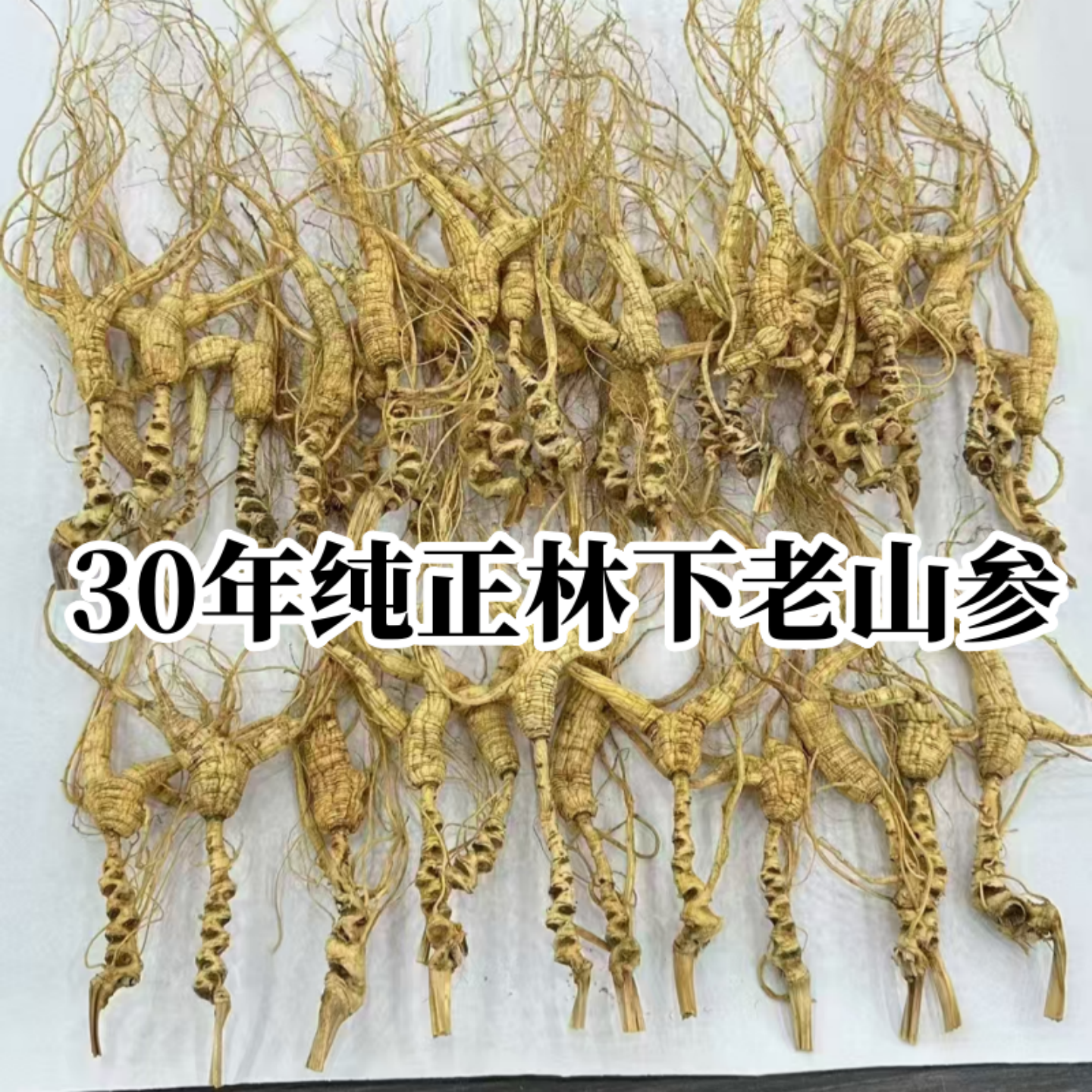 东北野生人参长白山野山参25年20年30年林下参干人参山参籽货礼盒