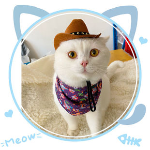 British pet dog hat Star Cowboy hat pet sun hat cat hat accessories pet supplies hot sale
