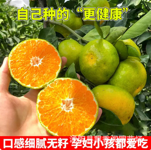 ���ڼ޽ӟo��ɰ���������Ե��ԟo��ɳ�ǽ��Ϸ����������箔��Y��