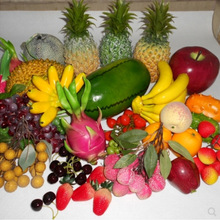 ����ˮ���b[����ˮ���߲˔zӰ����������ɏ�㽶���ۻ�����ģ��