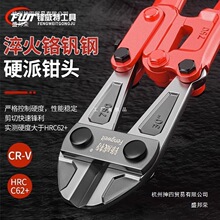 �¿�ྀ�Q䓽�����Q��䓽z�F�z�����Q�Ӽ��i�Q�����Ɖ��Q�����