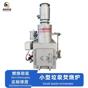 Incinerator Medical Waste High Temperature Pyrolysis Gasifier Needle Tube Cotton Swab Shelter Hospital Garbage Incinerator