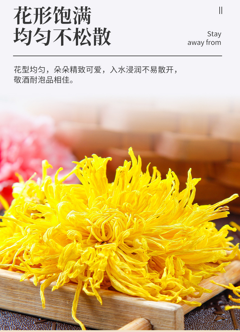 Golden Silk Chrysanthemum Tea Large Blooms Jin Si Huang Ju One Flower Per Cup 20g in use