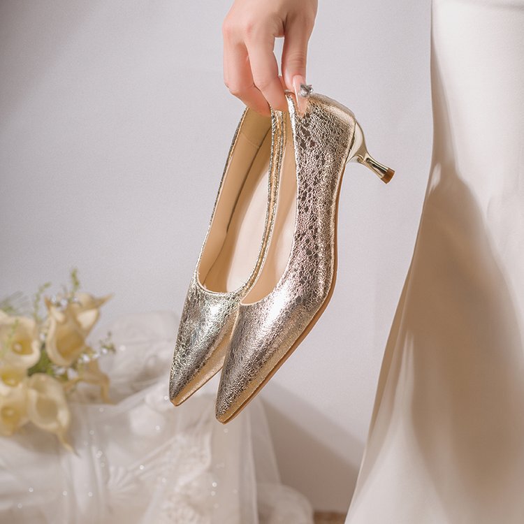 Silver Pointed-Toe High Heels with Thin Heels, 2026 New Design, Stylish and Elegant Shallow-Mouthed Single Shoes to Pair with Skirts