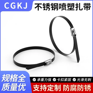 厂家直供4.6*300黑色金属扎带桥架束线带标牌电缆扎丝定制