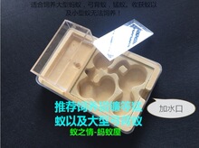 ρ֮�� Λρ����Λρ��Ѩ ��ʯ�ೲ ƽ��ʯ�ೲѨ���^��