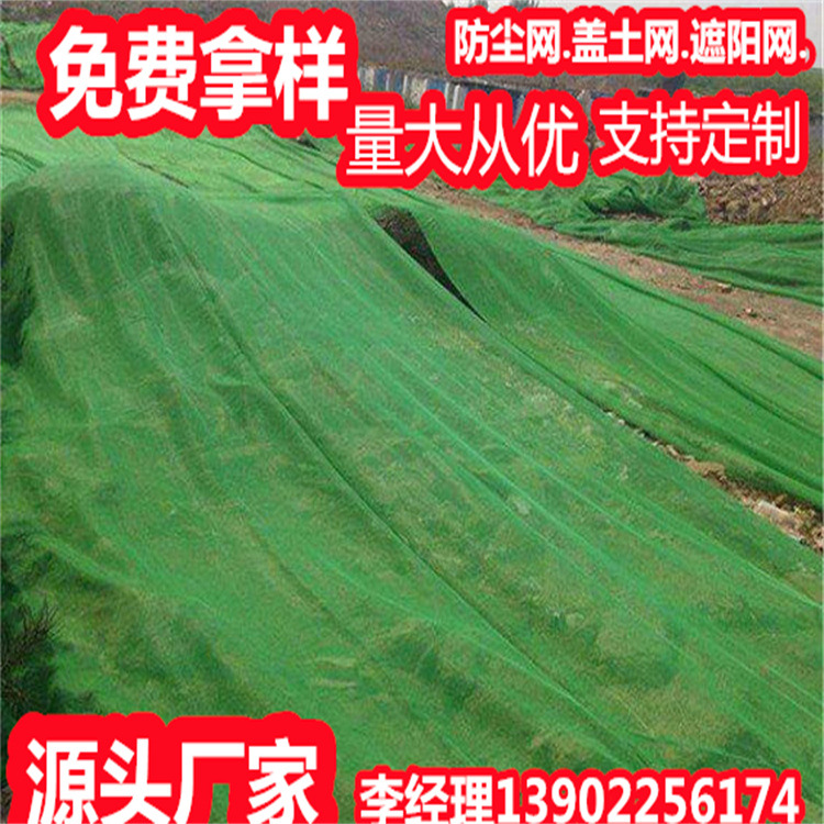 厂家直销2针盖土网工地绿网 防尘太阳网