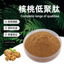 核桃低聚肽 浅棕色粉末 易溶于水 核桃香味干燥避光储存 现货批发