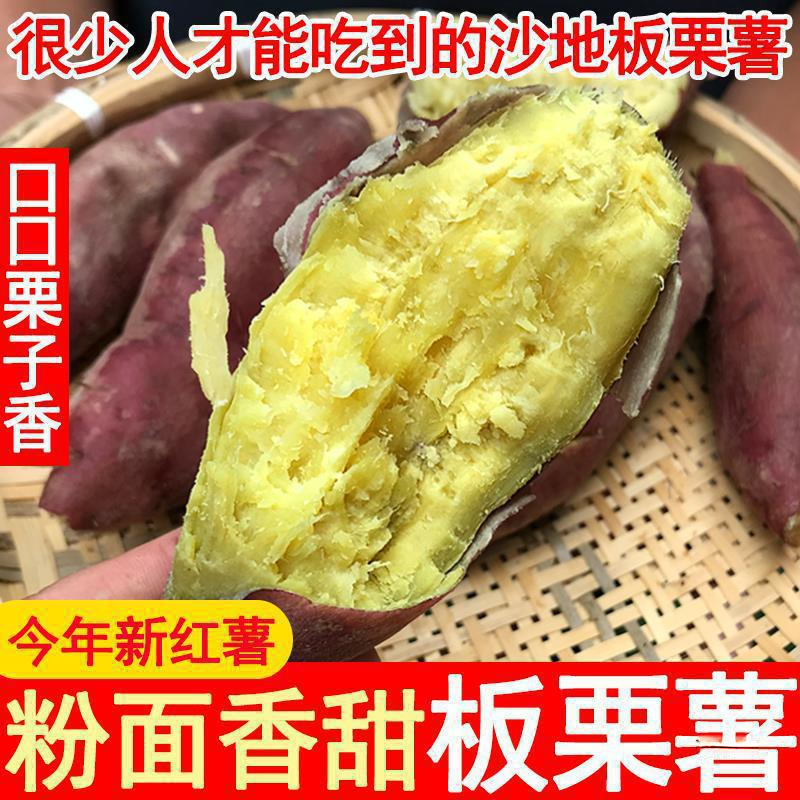 新鲜现挖陕西临潼沙地板栗红薯农家自种干面黄白心番薯产地直销