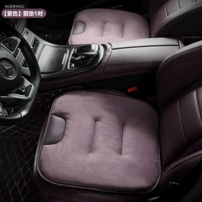 Car roof lining Xiaomi, BMW car seat - other-purple1-pair-of-seat-cushions