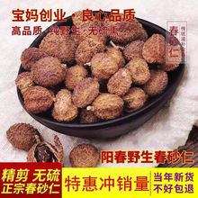 ��ɰ��ꖴ��خa���r��ɳ�ʸɹ���؛����ɰ����؛��؛