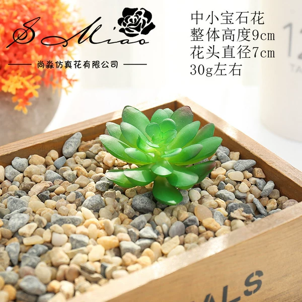 Small and small gem flowers green red border (excluding pots)