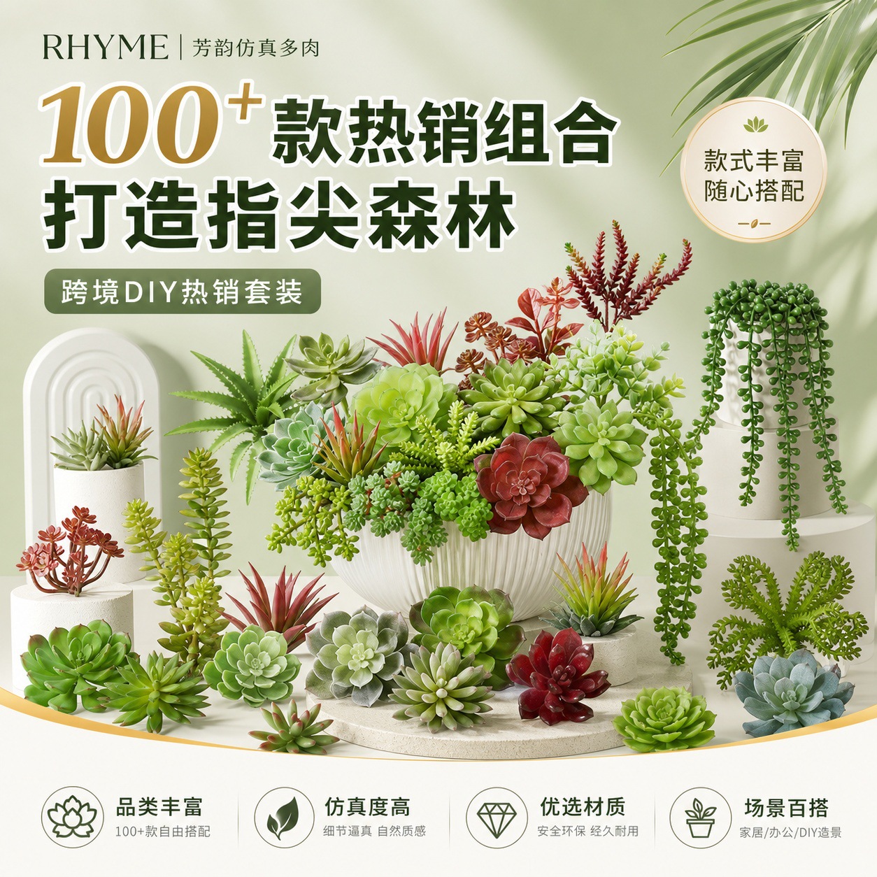 6101多肉 (1).jpg