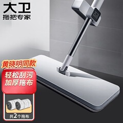 大卫拖把平板拖把家用懒人一拖2025新款免手洗拖地神器拖布干湿两用净