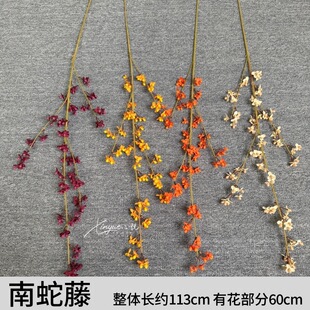 ����ٻ��������ֹ�������Y���õ��Ų廨����ʽ�Ҿ��b����黨