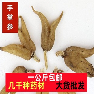 ���ƅ����օ� ��ș���¿����������օ��ƅ� �փ�һ��������ԭ��