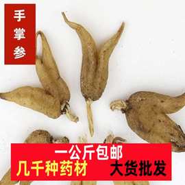 手掌参佛手参 中药材新款西藏正宗手参掌参 手儿一公斤生晒原料