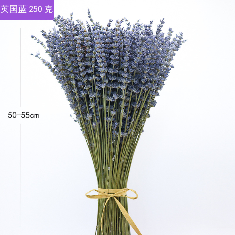Lavender dried flowers natural air -dried flowers bouquet peace