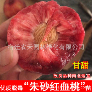 ���Ե��Թ�����޽��Ҙ��� ����Ѫ���� �t��Ѫ�� �óɻ� �Y������