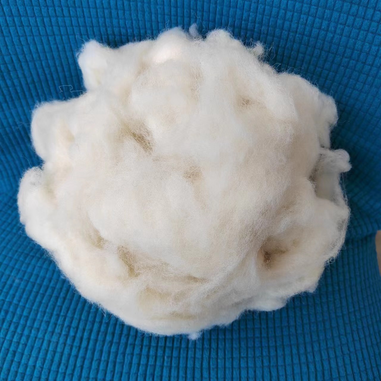 6052eea50847ba9b8a9bf209200236