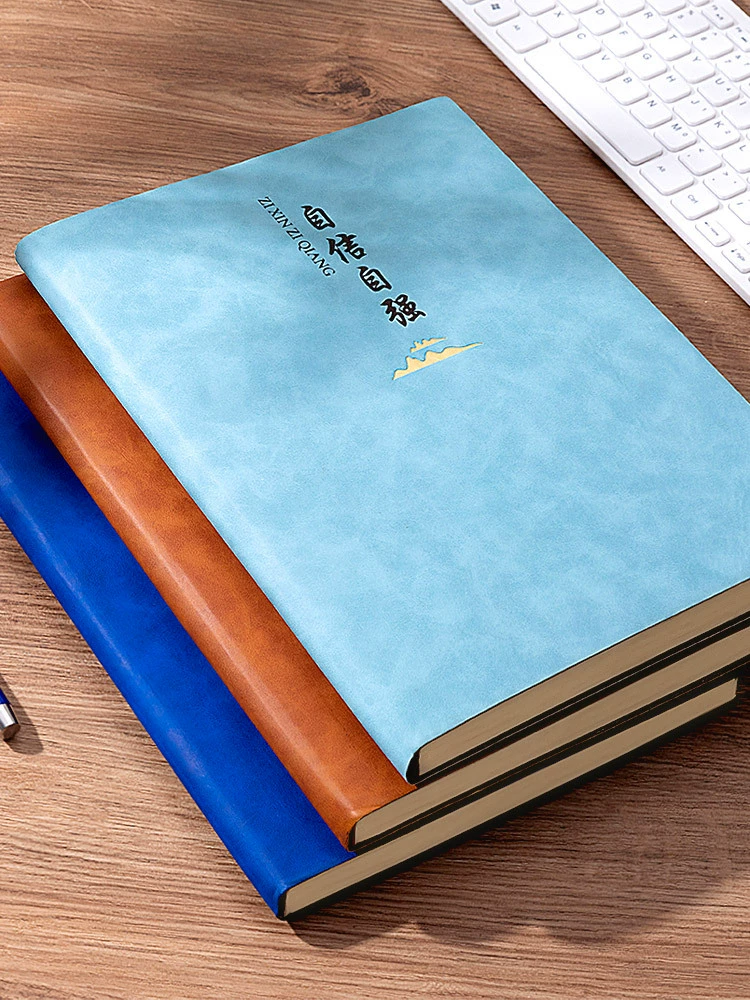 Ноутбук/тетрадь, большая книга, блокнот A4, 2024 год, новая коллекция, бизнес-версия