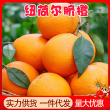 正宗湖北秭归纽荷尔脐橙9斤整箱当季新鲜水果10批发5包邮伦晚橙子