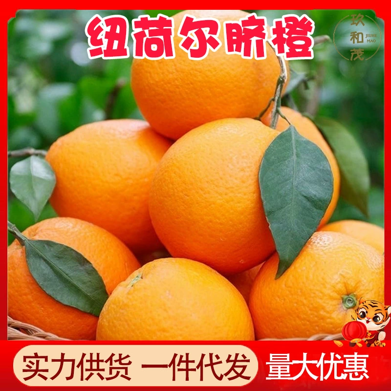 Настоящие апельсины Ньюхол из Хубэй-Цзыгу, 4.5kg целых коробки, сезонные свежие фрукты оптом, 10-50 шт., бесплатная доставка, апельсины позднего урожая