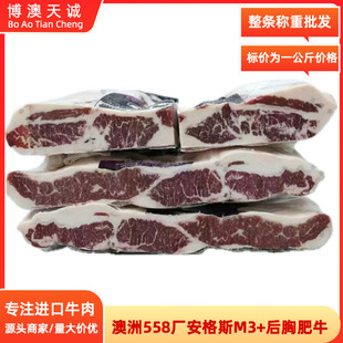 ����558�S���N����˹M3+���ط�ţ ����ţ�ſ����ϲ�ʳ�� ԭ��ţ