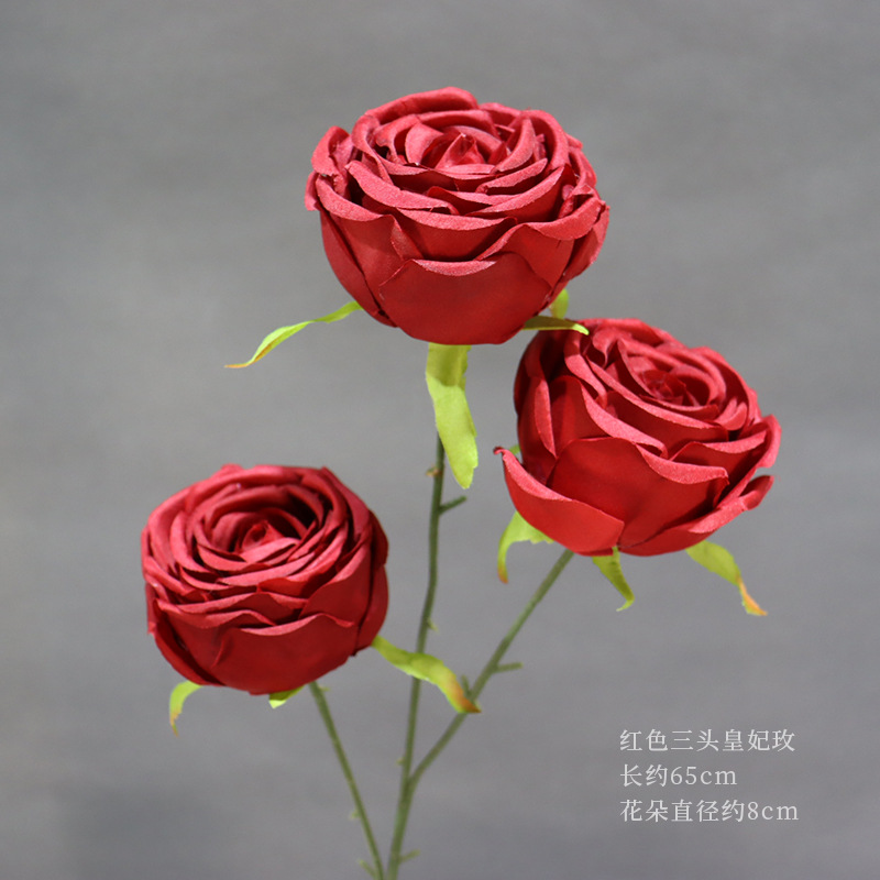 빨간색 삼두공주 장미 한 송이