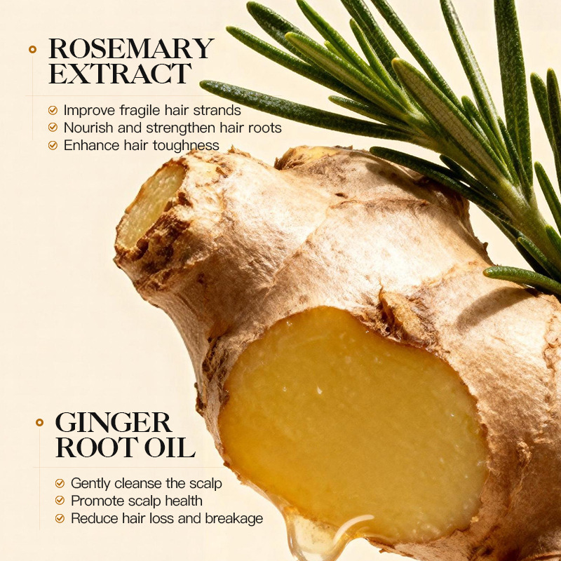 KORMESIC Rosemary & Ginger Root Shampoo Shampoo Mask Hair Serum Fabricante Transfronterizo Comercio Exterior Wholesale image 4