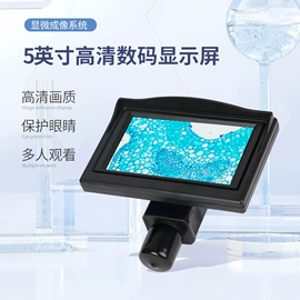 显微镜;目镜、物镜;手机镜头