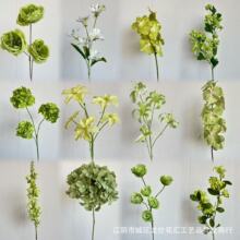 ��Y���滨�Gɫ�ϼ����Ľ���õ���ָоGɫ����С���Ɍ� �zӰӰ��