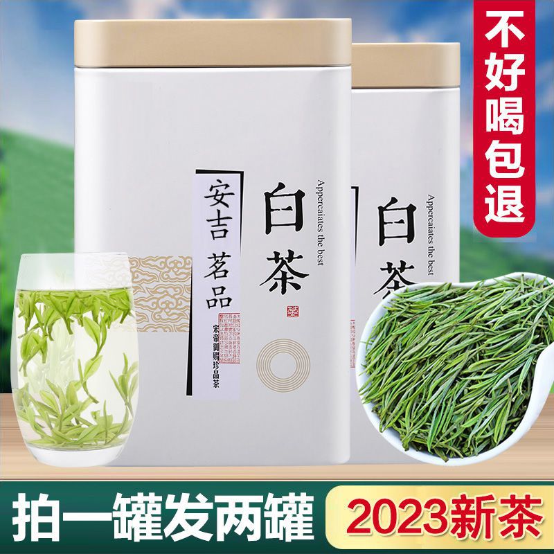 白茶吉安高山2023年新茶礼盒装珍稀高山云雾绿茶散装雨前茶叶